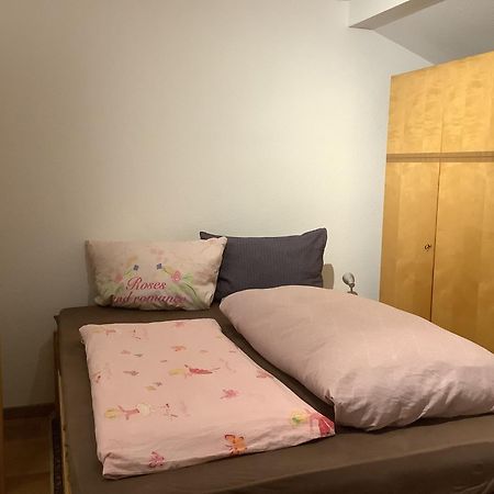Ferienwohnung Apartment Doppelzimmer In Der Villa Naturpark Rheinblick, Ruhig, Aussicht, Pool Koblenc Exteriér fotografie