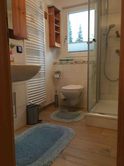 Ferienwohnung Apartment Doppelzimmer In Der Villa Naturpark Rheinblick, Ruhig, Aussicht, Pool Koblenc Exteriér fotografie