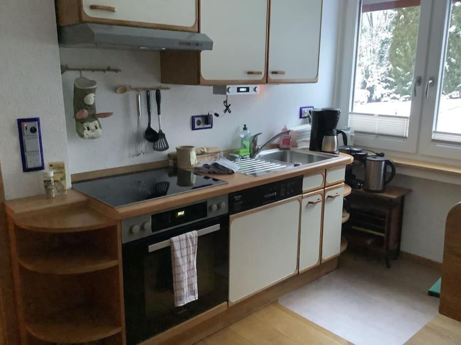 Ferienwohnung Apartment Doppelzimmer In Der Villa Naturpark Rheinblick, Ruhig, Aussicht, Pool Koblenc Exteriér fotografie