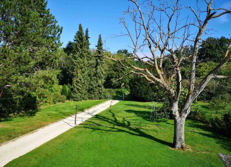 Ferienwohnung Apartment Doppelzimmer In Der Villa Naturpark Rheinblick, Ruhig, Aussicht, Pool Koblenc Exteriér fotografie