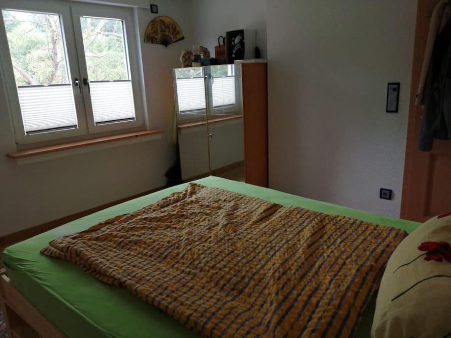 Ferienwohnung Apartment Doppelzimmer In Der Villa Naturpark Rheinblick, Ruhig, Aussicht, Pool Koblenc Exteriér fotografie