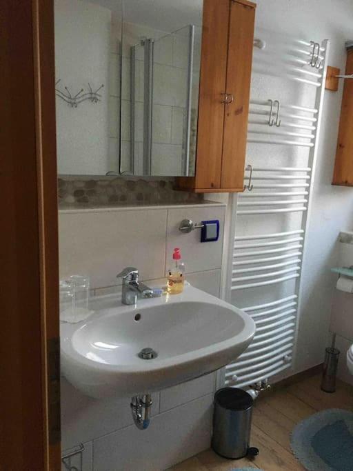 Ferienwohnung Apartment Doppelzimmer In Der Villa Naturpark Rheinblick, Ruhig, Aussicht, Pool Koblenc Exteriér fotografie